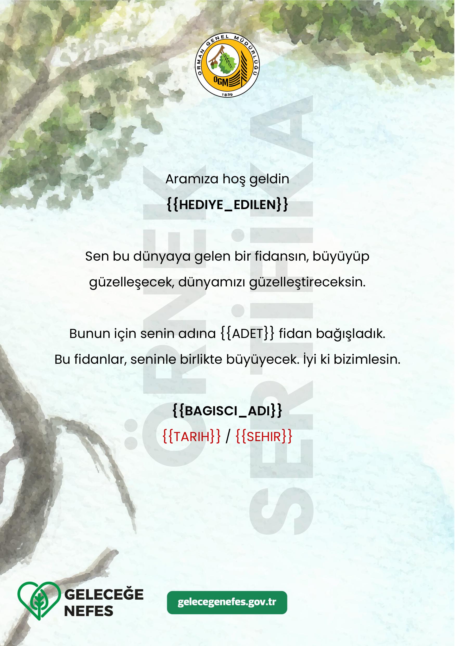 Hoş Geldin Bebek