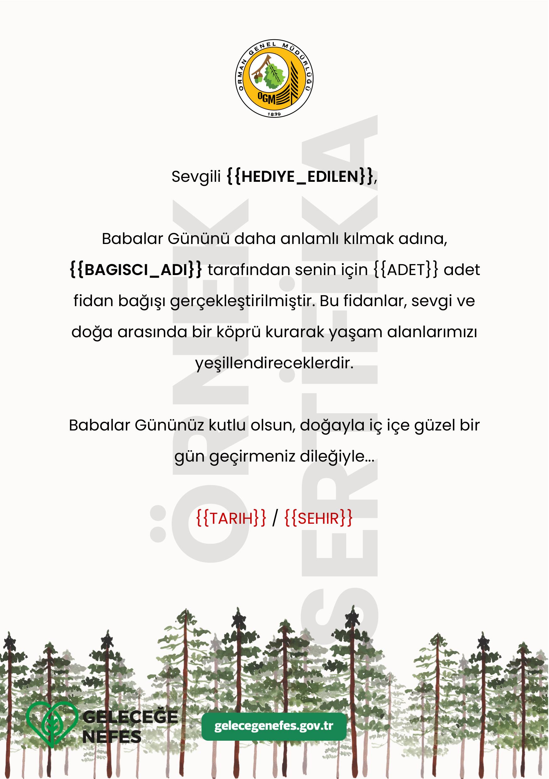 Babalar Günü 2