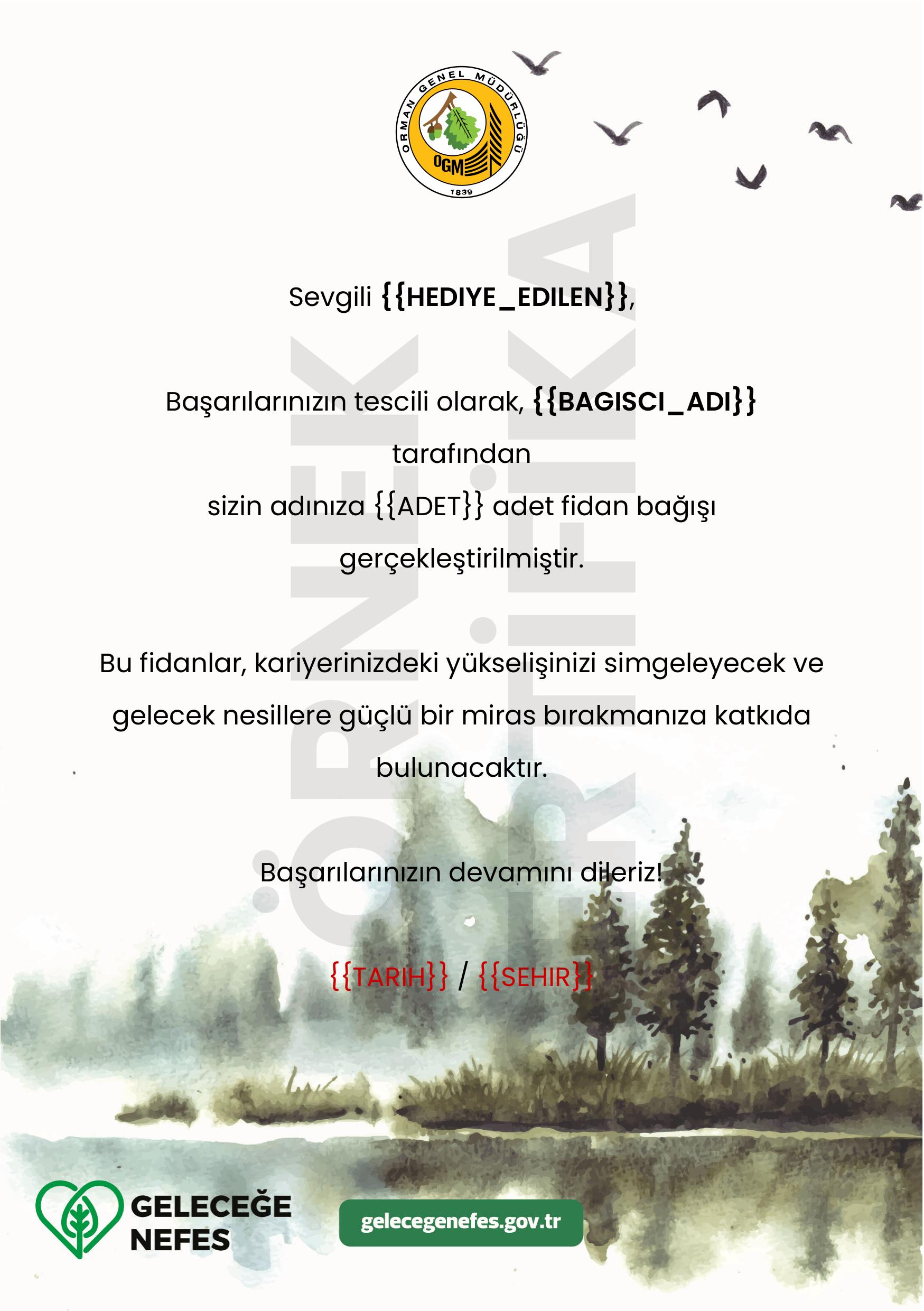 Terfi Tebriği (Kurumsal)