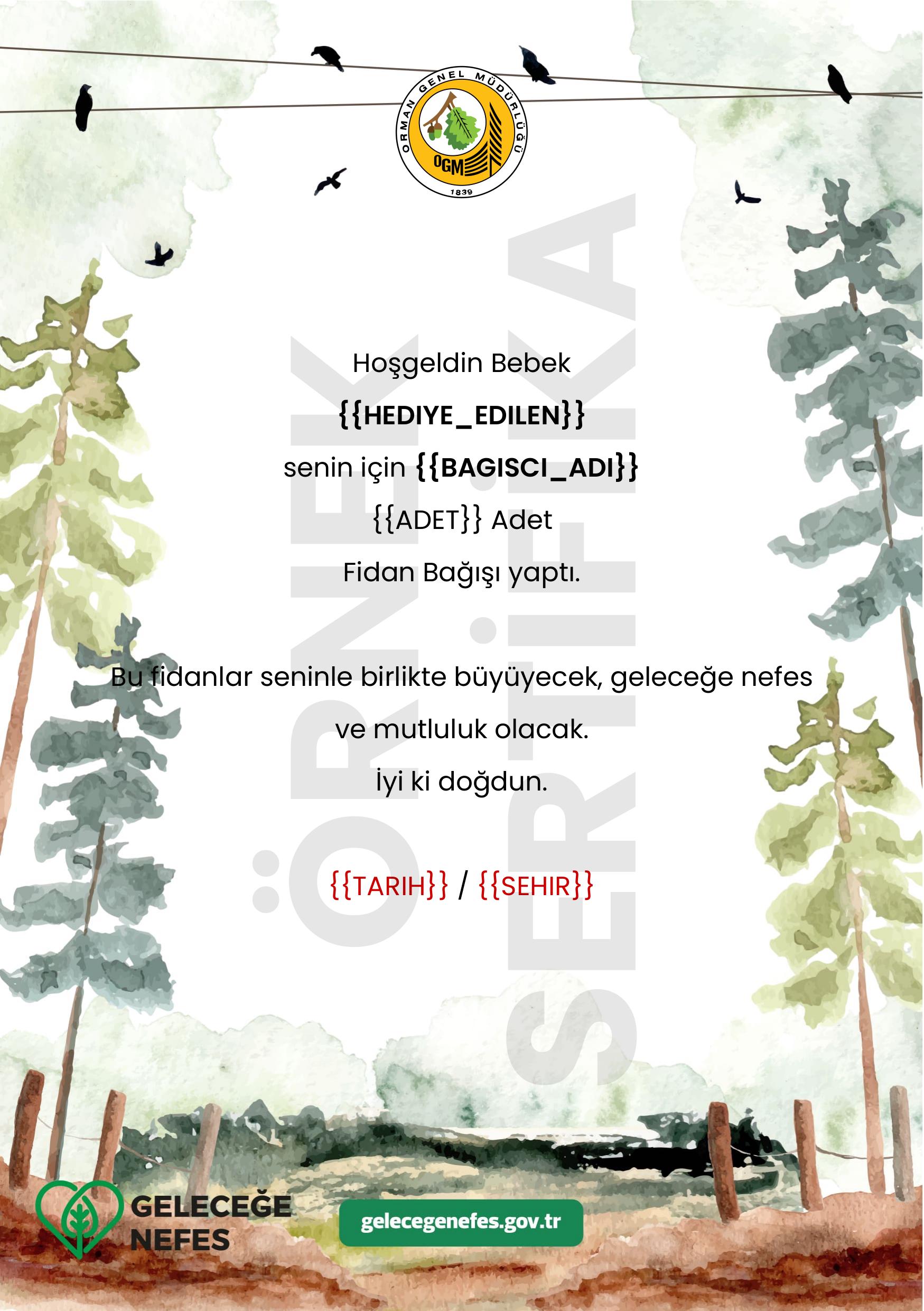 Yeni Doğan