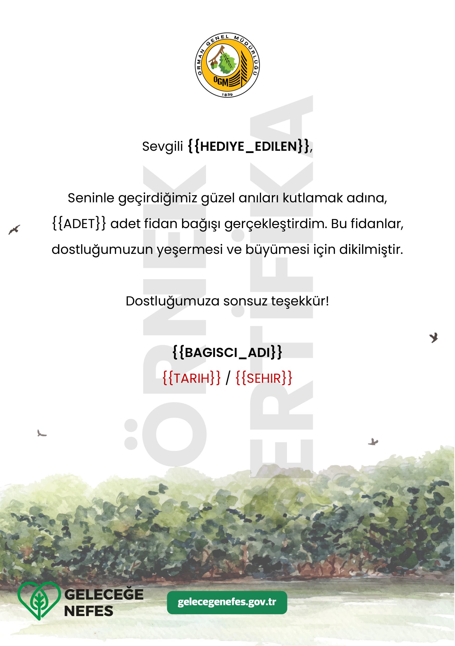 Arkadaşlık 2
