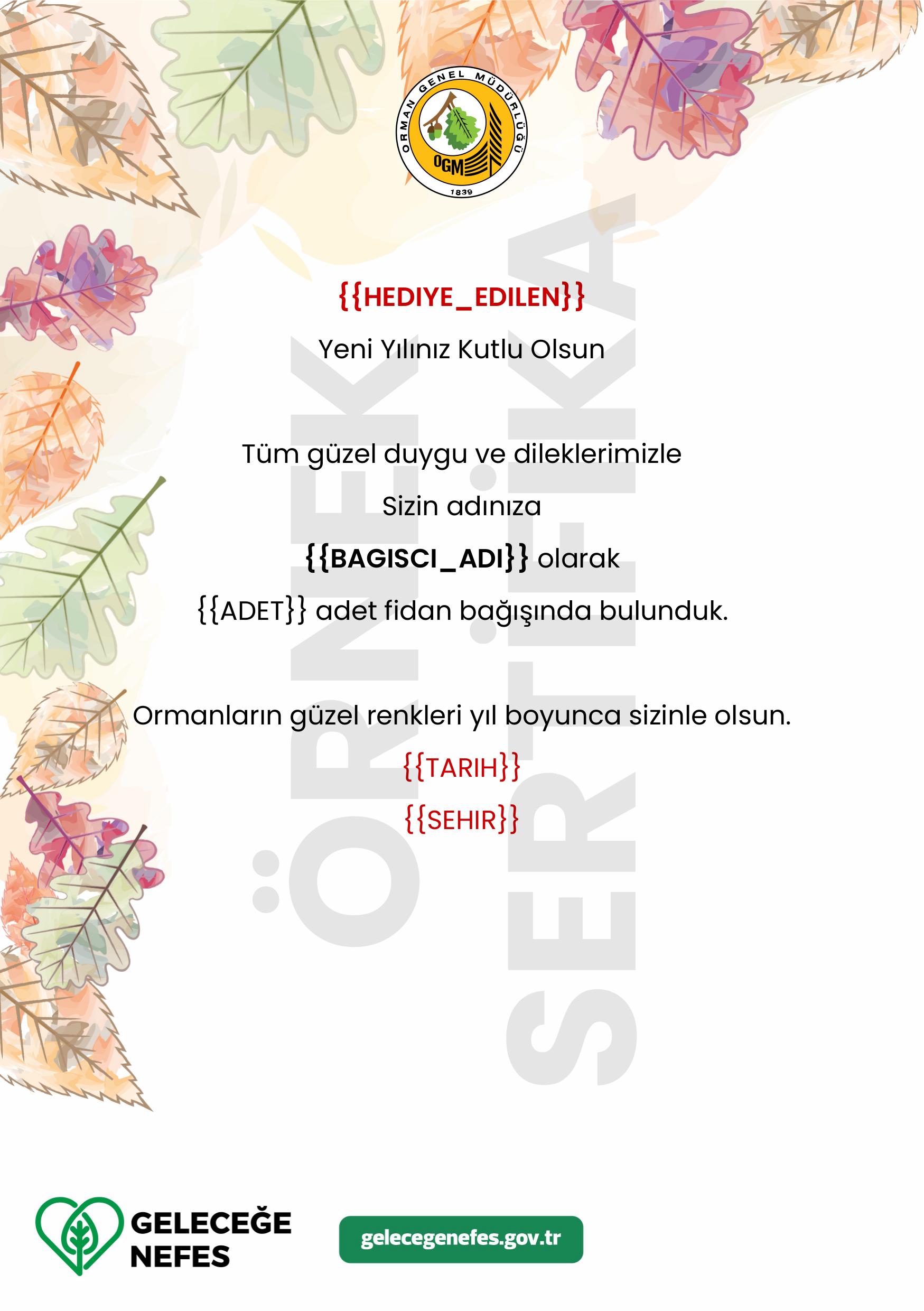 Yeni Yıl Kurumsal
