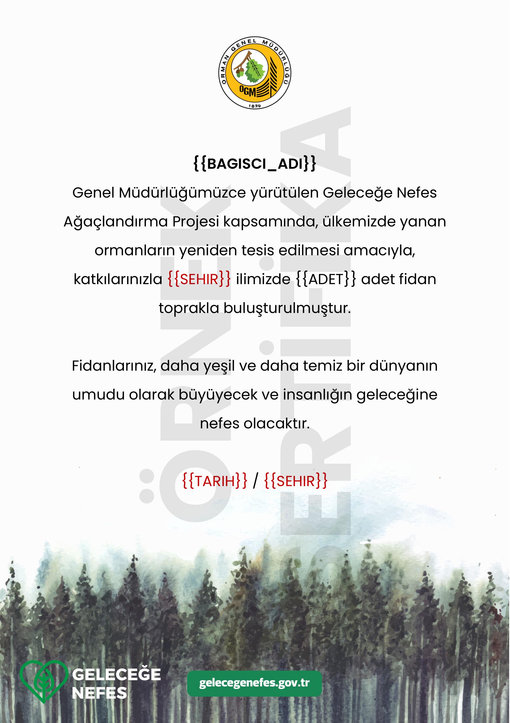 Yanan Alan Ağaçlandırması