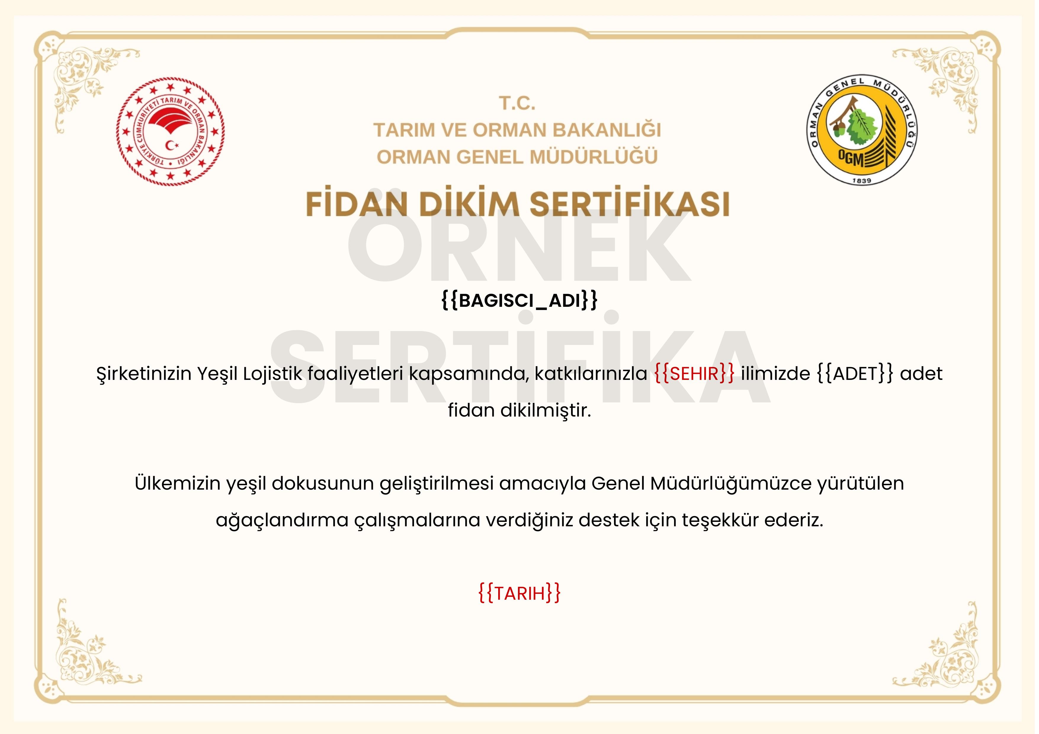 Yeşil Lojistik